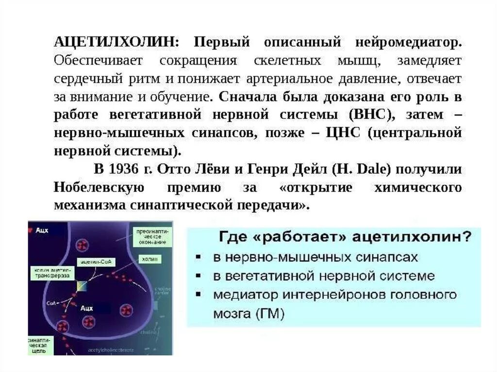 Химическая структура ацетилхолина. Воздействие ацетилхолина. Ацетилхолин это физиология. Ацетилхолин влияние.