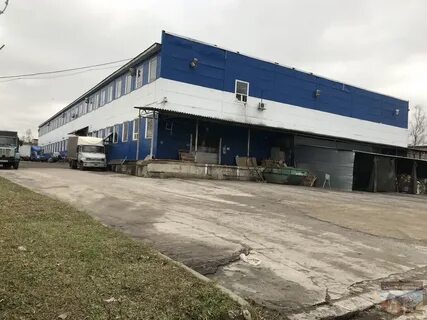5000 квадратных метров
