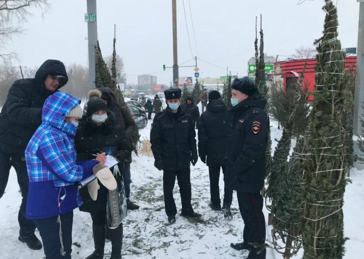 Хабаровск последние новости на сегодня. Елочный базар Хабаровск. Новости Хабаровска. Новости из Хабаровска. Избитый продавец ёлок в Самаре.