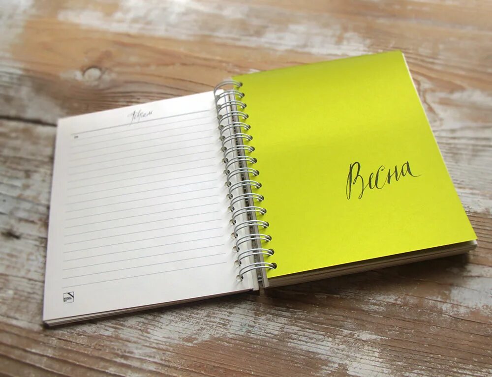 Девушка с ежедневником. Красивый блокнот для девушки. Блокнот для шпор. Идеи для блокнота в подарок. Блокнот с чистыми листами для рисования.