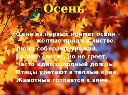 Стихи про приметы осени