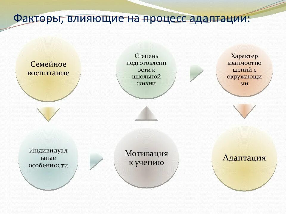 Фазы адаптации к школе. Проблема адаптации к школе. Трудности адаптации в школе. Факторы влияющие на процесс адаптации. Изменения в условиях обучения