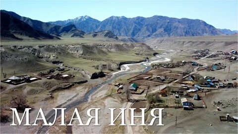 Прогноз иня
