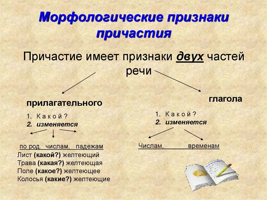 Морфологический образец причастий. Глагольные морфологические признаки причастия это. Причастие морфологические признаки причастия. Причастие признаки частей речи. Морфологические признаки причастия таблица.