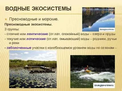 Экологическая система реки