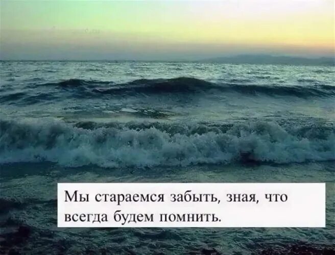 Забыть цитаты. Надпись я всегда буду помнить тебя. Ты будешь помнить меня всегда цитаты. Было и было забудем. Я забуду твой профиль