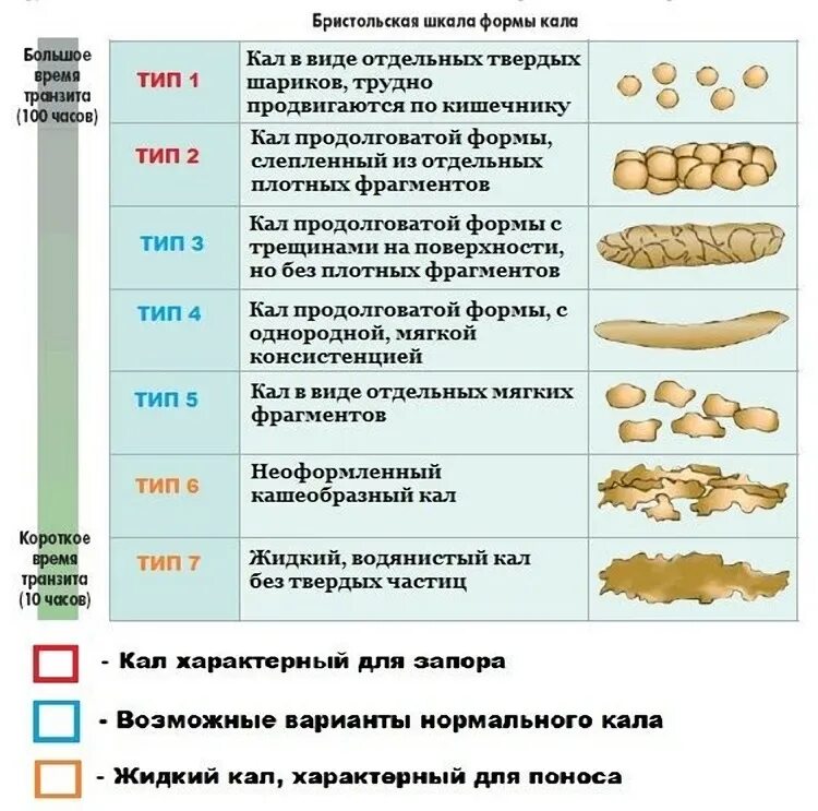 Причины изменение кала. Бристольская шкала формы кала. Бристольская шкала консистенции кала. Бристольская шкала формы кала pdf. Бристольская шкала формы стула.