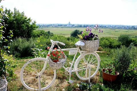 Дом дронова