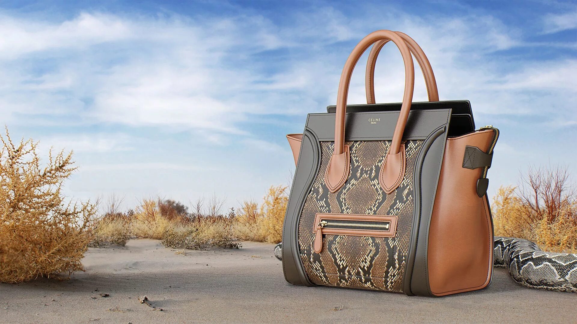 Спора сумка 3 буквы. Celine Luggage Bag. Celine 3 сумки. Bag brand Celine. Модели дизайнерских сумок.