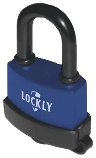 65 36
