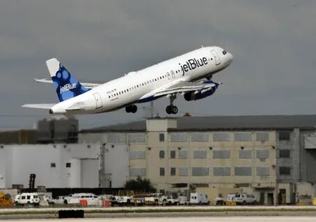 The plane leaves has left