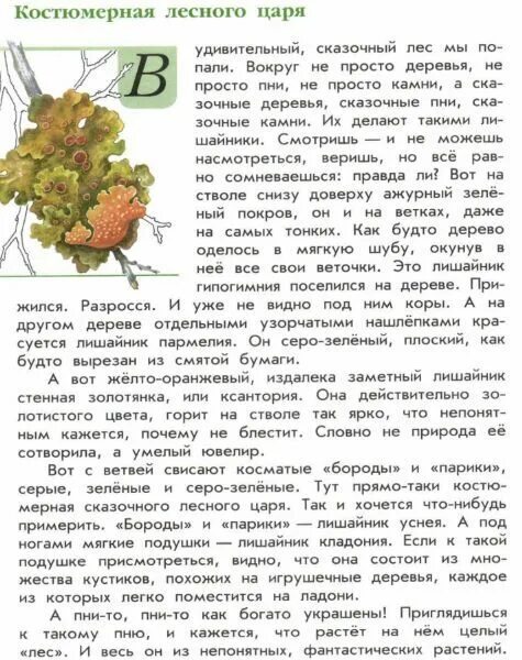 рассказ кислый но вкусный из книги зеленые. книга зеленые страницы кислый но вкусный. книга зеленые страницы кислый но вкусный. зеленая книга птичья грешка. травы средней полосы россии книга.