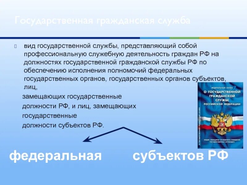 Виды государственной службы. Виды должностей государственной службы. Виды профессиональной служебной деятельности. Виды государственной службы РФ.