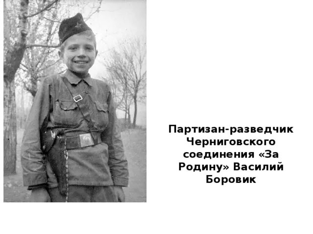 Партизан разведчик. Партизаны разведчики. юный разведчик. юный разведчик-кавалерист витя поздняков.