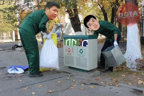 Саңылаулар дымқыл