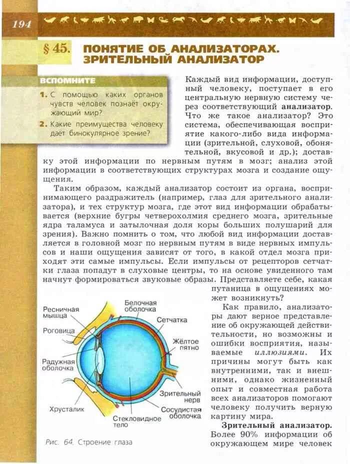 Строение глаза 8 класс биология Пасечник. Строение глаза из учебника. Строение глаза 8 класс биология. Зрительный анализатор биология. Понятие об анализаторах зрительный анализатор