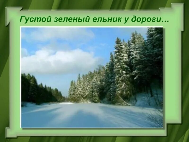 Густой зелёный ельник у дороги Бунин. Гуатой зелёный Ельни к у дороги. Зелёный ельник у дороги Бунин. Густой ельник у дороги Бунин.