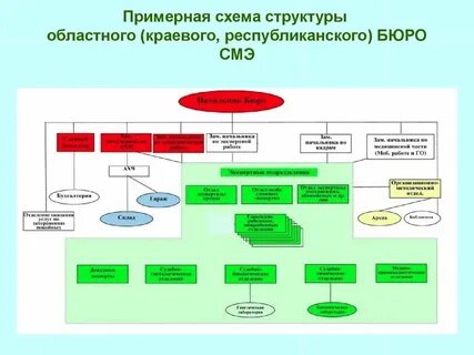 Структура медицинской службы