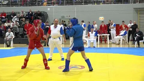 Чемпионаты первенства федеральных округов