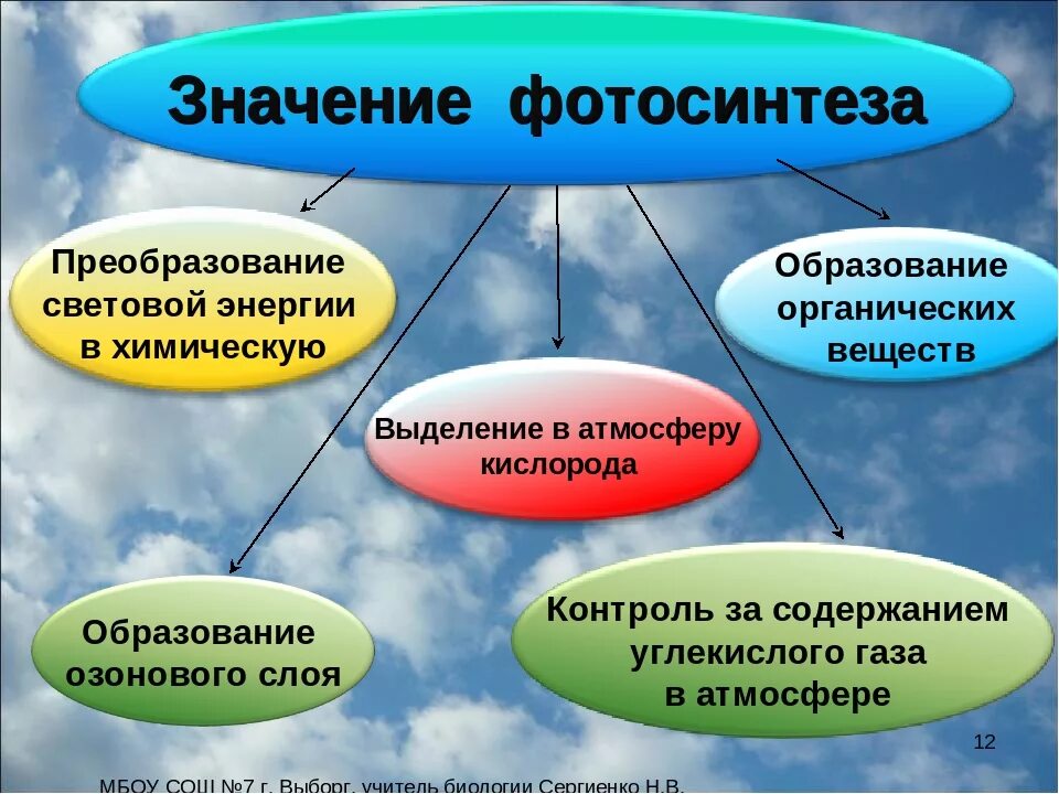 Каково значение биологии. Значение процесса фотосинтеза. Значение фотосинтеза в природе. Биологическое значение фотосинтеза. Значение фотосинтеза в биосфере.