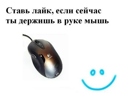 Лайк поставлю собака