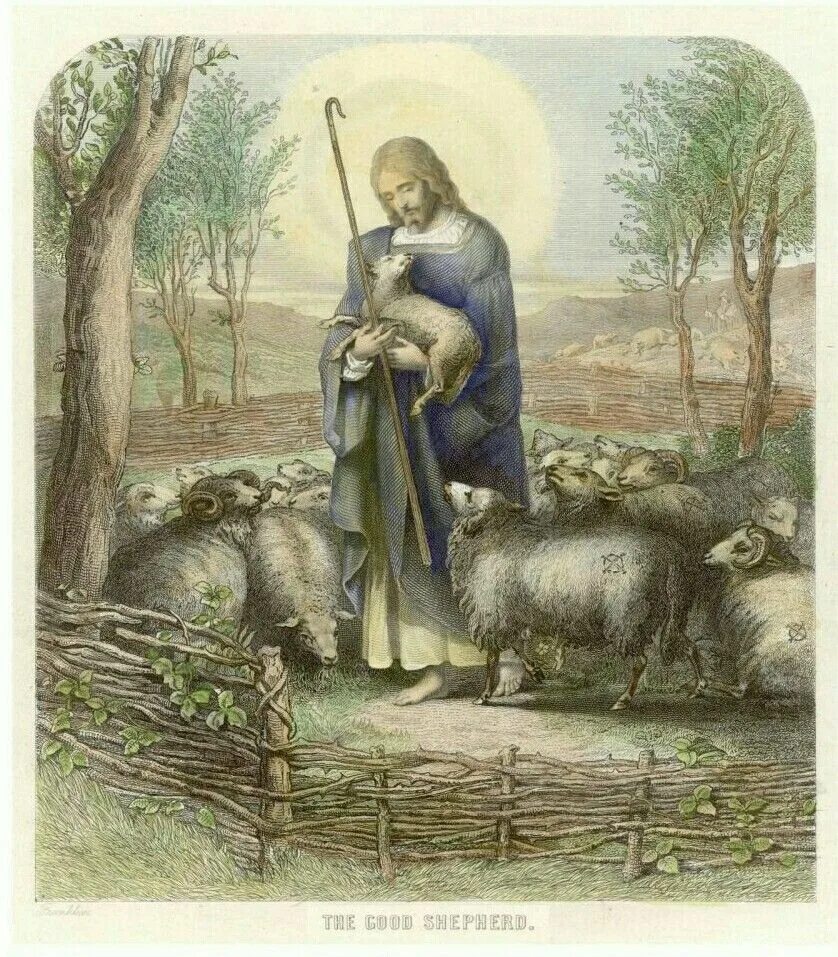 Добрый Пастырь Бартоломе. Мурильо добрый Пастырь. Пастырь добрый икона. Бартоломео Эстебан Мурильо добрый Пастырь.