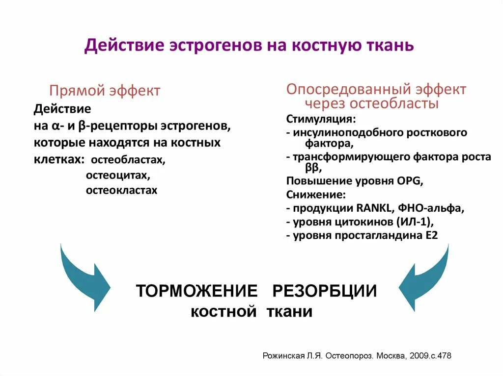 Симптомы повышенного эстрогена у женщин. Механизм действия эстрогенов при остеопорозе. Влияние эстрогенов на костную ткань. Эстрогены влияние на кости. Эффекты половых гормонов.