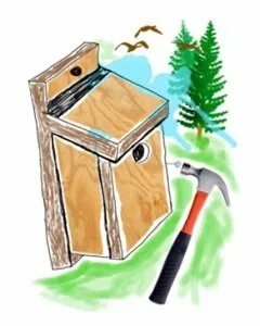 Build nesting boxes