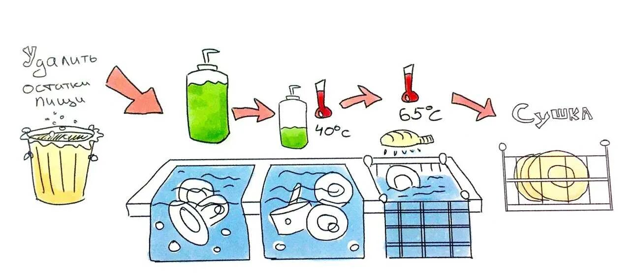 В какой последовательности моют посуду. Алгоритм мытья посуды. Алгоритм мытья посуды для детей. Двухсекционная ванна для мытья посуды. Мытье посуды занятие для детей.