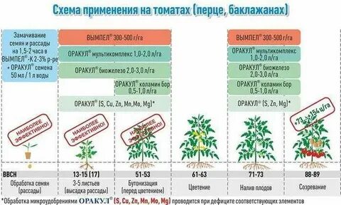 Перец подкормка в теплице во время плодоношения
