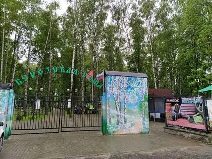 Пушкино березовая роща