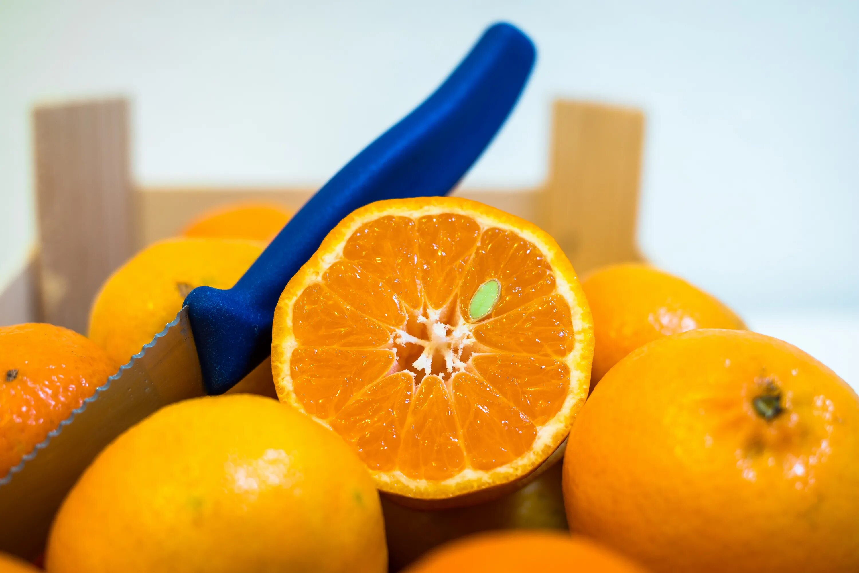 Мандарин фрукт витамины. Апельсин. Апельсины красиво. Апельсин в разрезе. Витамины в мандаринах.