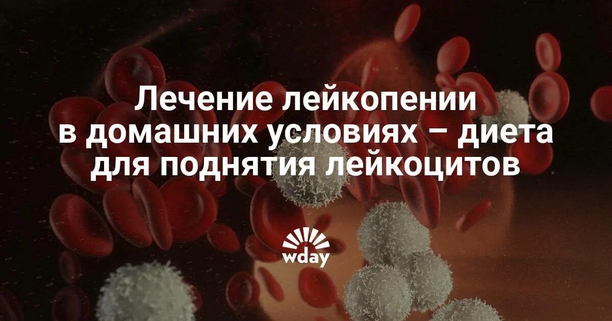 Как повысить лейкоциты после химиотерапии при онкологии. Питание для повышения лейкоцитов. диета для поднятия лейкоцитов. препараты повышающие лейкоциты.