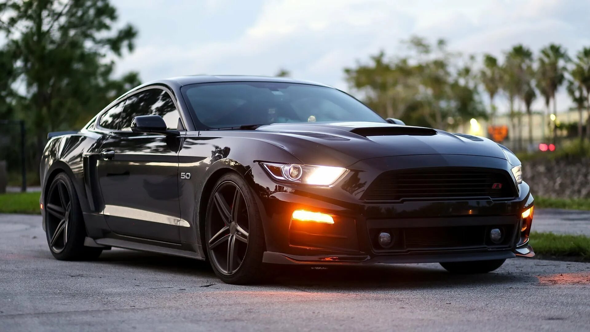Форд мустанг 2015. Ford mustang 2009 black. Черный мустанг машина. Мустанг машина черный 2017. Форд мустанг gt 2013 черный.
