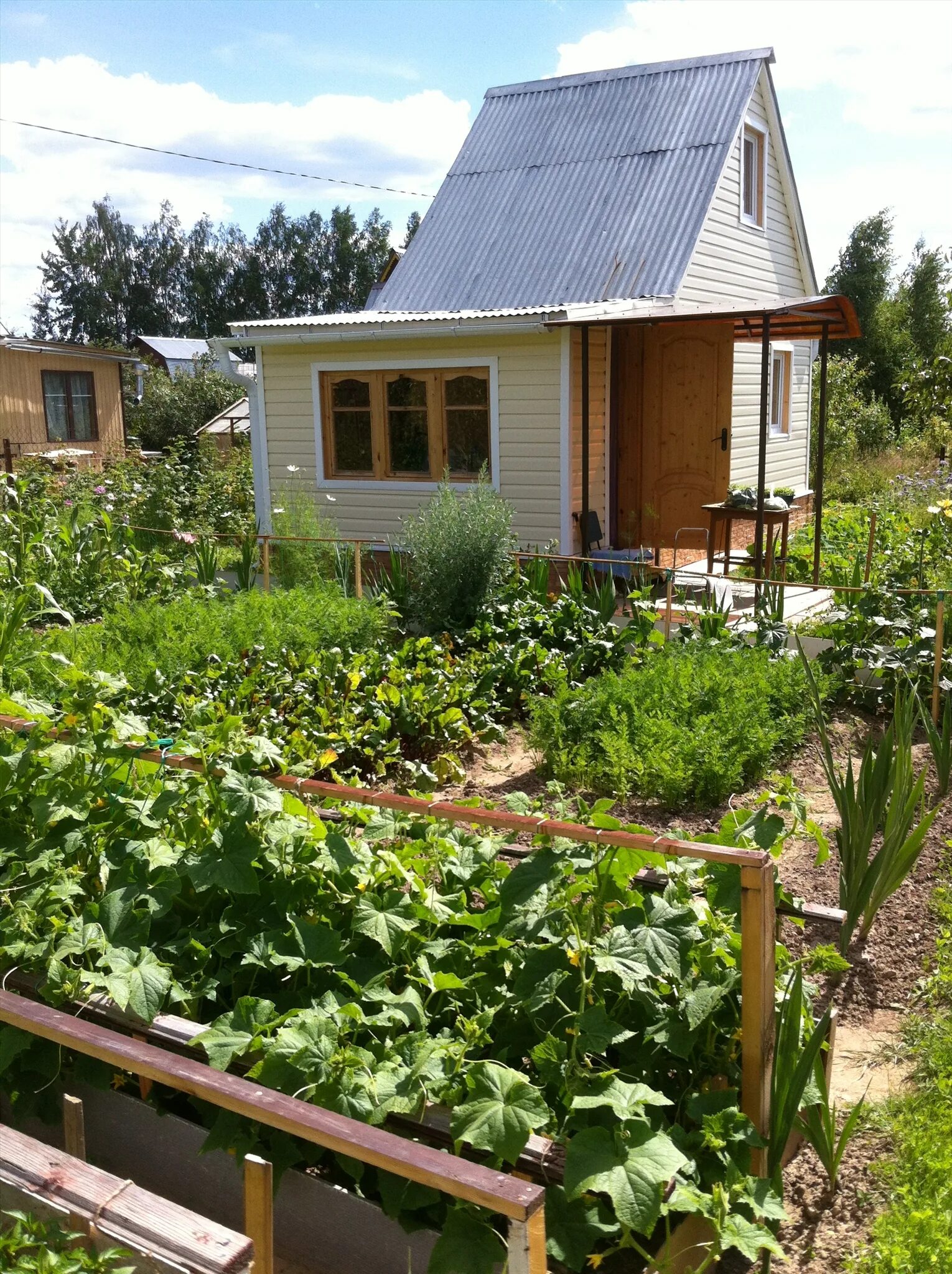 продается дача. на даче. дачный участок. какую покупать дачу. какую покупать дачу.