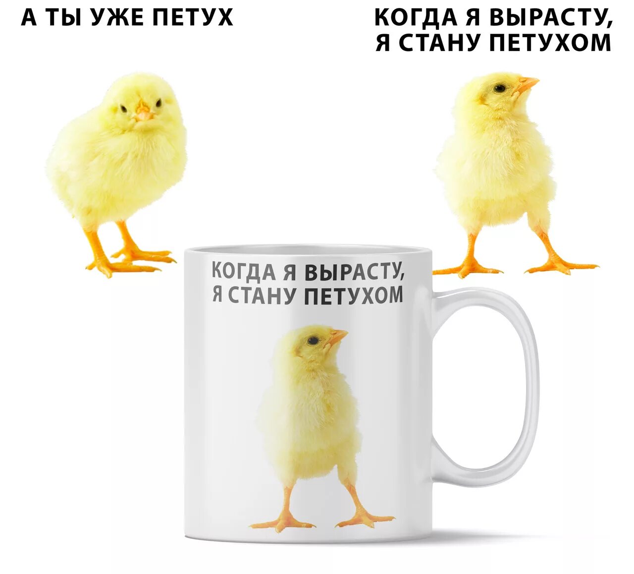 Стать петушком. Строение петуха. Стать петушком. Анатомия петуха строение. Хованский петух.