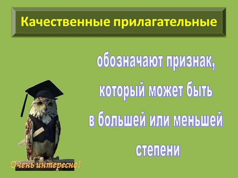 Качественное прилагательное урок. Качественные прилагательные презентация. Относительные прилагательные. Относительные прилагательные обозначают. Относительные прилагательные презентация.