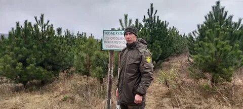Гку лесничество