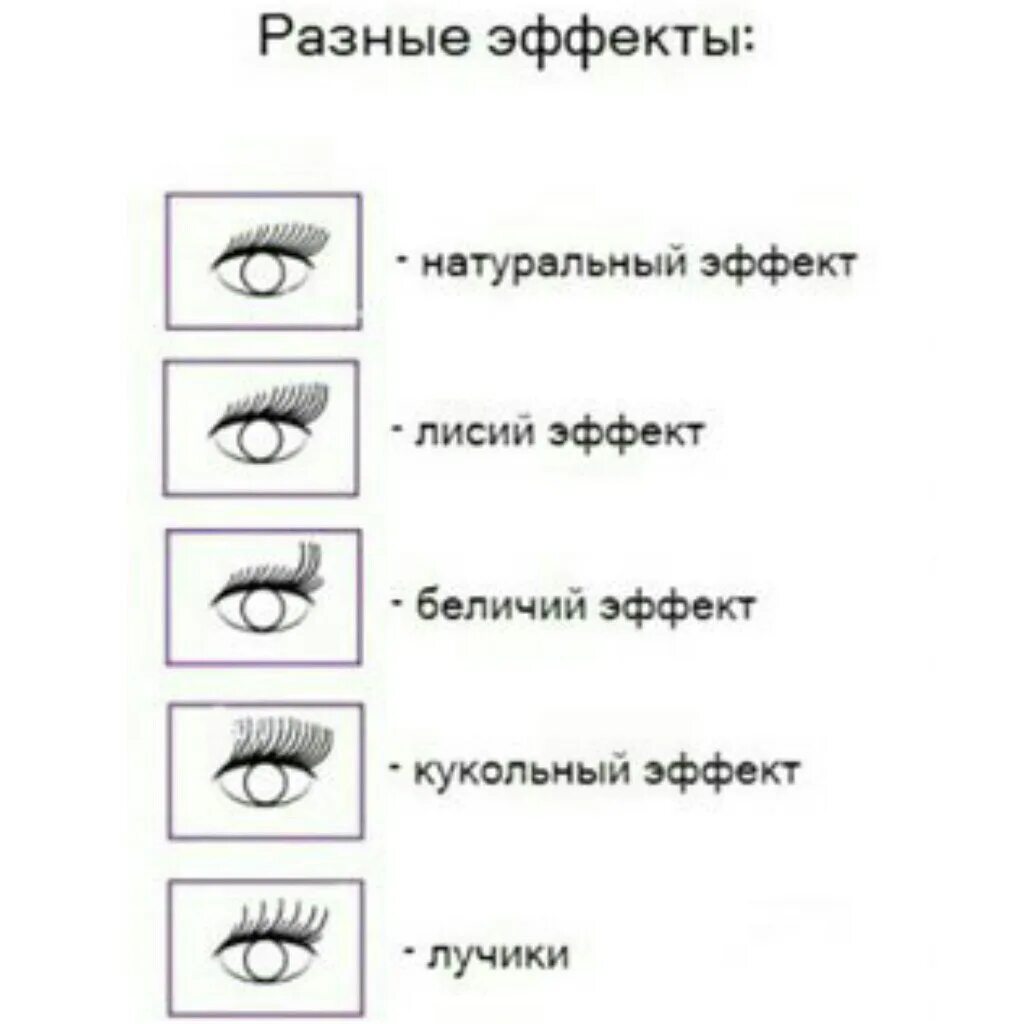 Как подобрать эффект наращивания. 4д Лисий эффект схема наращивания. Кукольный , Лисий, беличий эффект разница. Беличий эффект наращивание ресниц схема 3 d. Схема наращивание ресниц беличий эффект 4д.