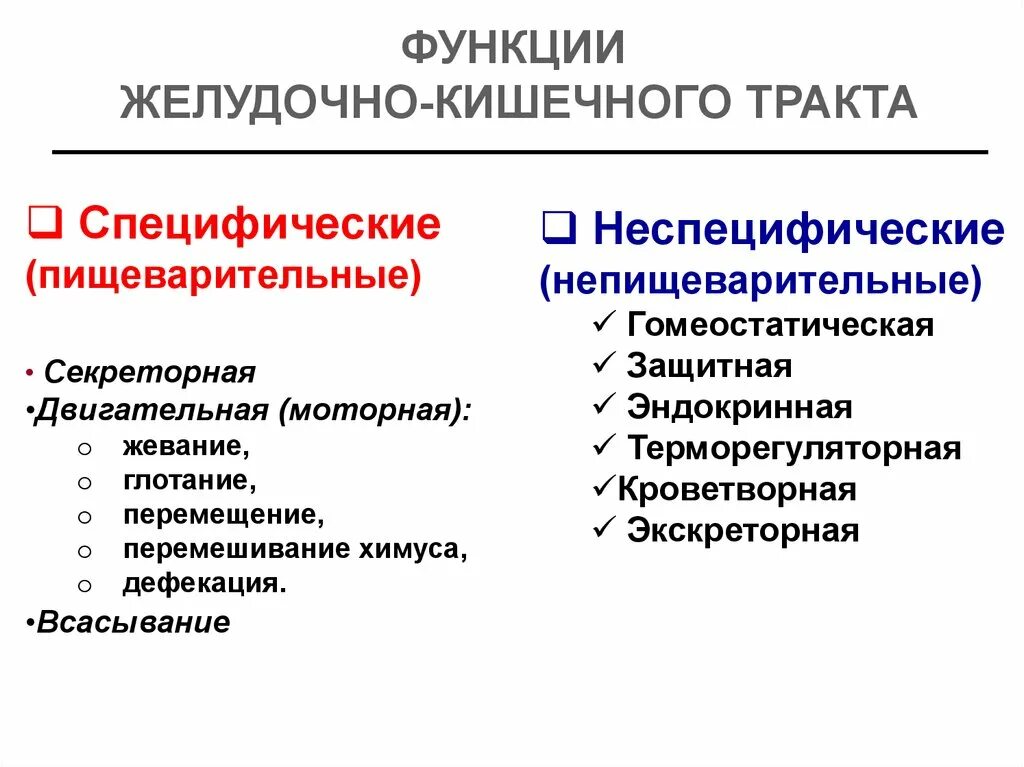 Общие и специфические функции. Пищеварительные и непищеварительные функции ротовой полости. непищеварительные функции пищеварительного тракта. непищеварительные функции пищеварительной системы физиология. пищеварительная система специфические функции.