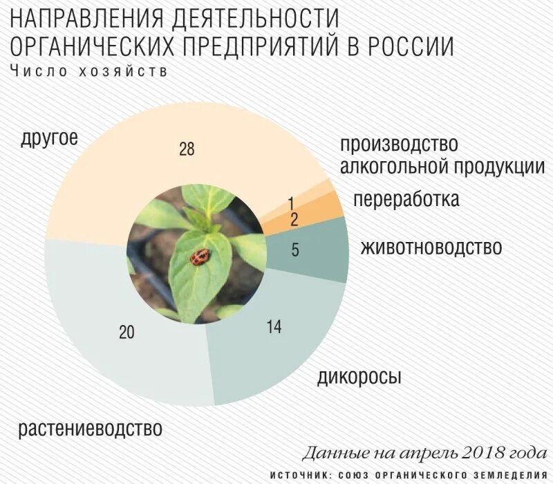 Роль производителей органических. Мировой рынок органической продукции. Рынок органической продукции в России. Органическая продукция в России. Органическая продукция законодательство.