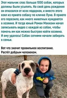 Называть собачий