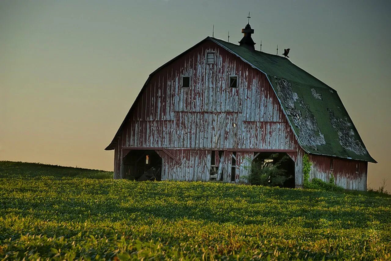 Barn. Амбар в деревне. Амбар древний. Амбар старый деревенский. Заброшенный Амбар.