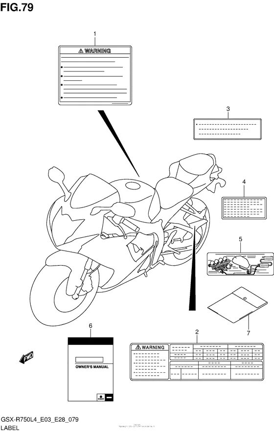 R manual