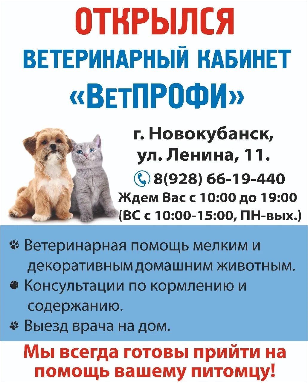 ВЕТПРОФИ Новокубанск. Профи Динская ветклиника. ВЕТПРОФИ Ейск. ВЕТПРОФИ Иваново. Телефоны в новокубанске