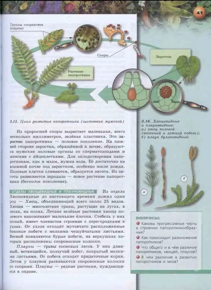 Учебник по биологии 7 класс Сухорукова. Биология Сухорукова Кучменко Колесникова 7 класс. Биология 7 класс Сухорукова параграф 16. Биология 7 класс Сухорукова §45.