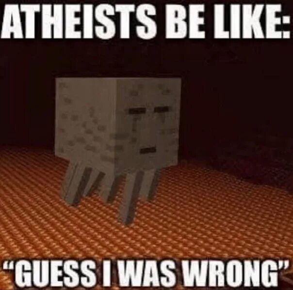 Me i guess i was a shoulder. Atheists be like. i was wrong. atheist like konkey.