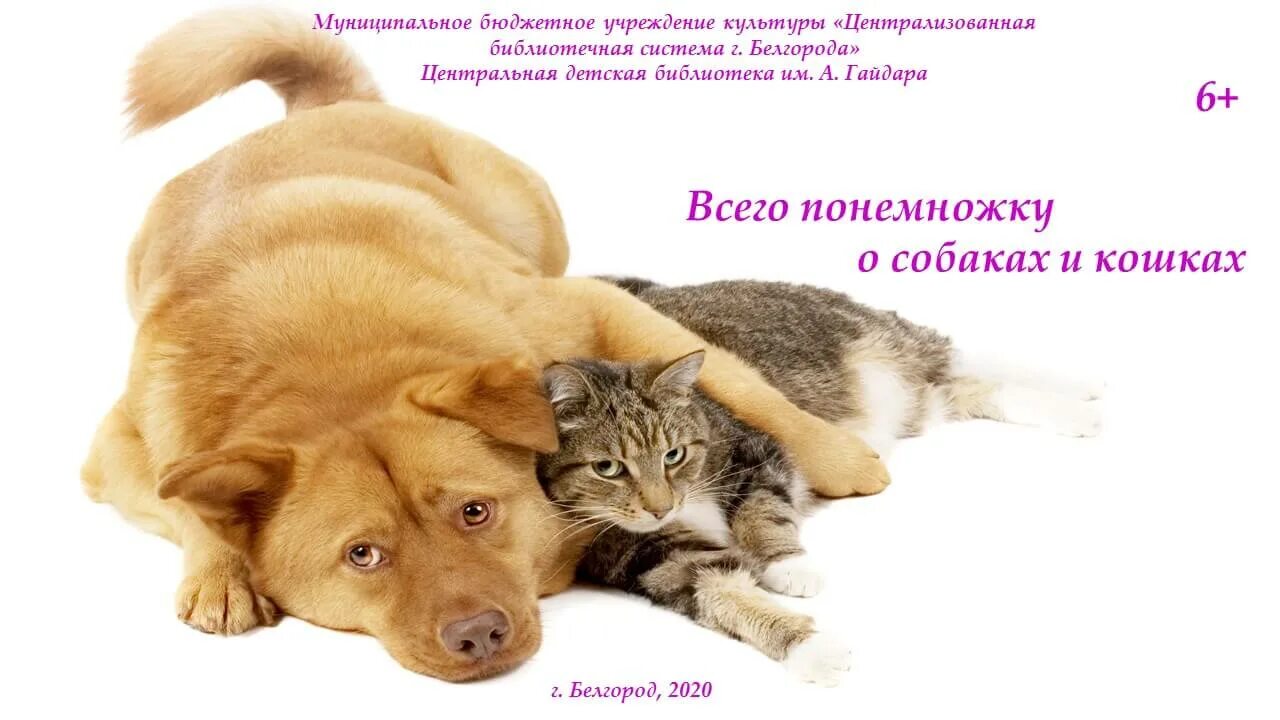 День домашних животных 2024. День домашних животных. Всемирный день домашних животных. Всемирный день домашних животных кошки. Всемирный день домашних животных 30 ноября.