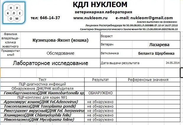 ПЦР тест на коронавирус кошек. Анализ на панлейкопению кошек. Вирусные инфекции кошек анализы. ПЦР панлейкопения. Кдл ифа