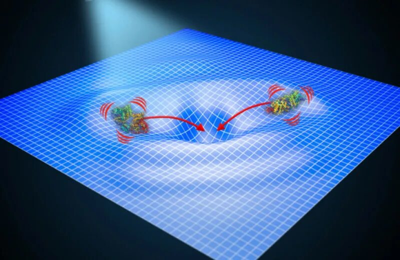 Волна 545-575 нанометров. Jinlei li et al. / Science Advances, 2022.